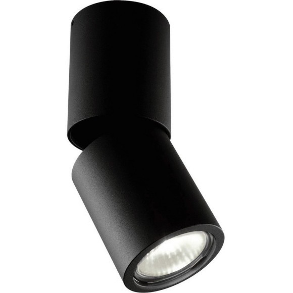 Накладной потолочный светильник Divinare 1800/04 PL-1 GAVROCHE POSTO под лампу 1xGU10 50W
