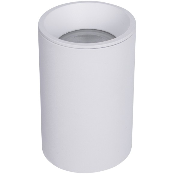 Потолочный светильник Technical C029CL-01-S-W