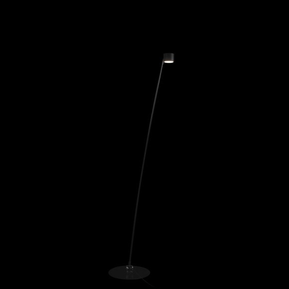 10374/2000 Торшер LOFT IT Sampei