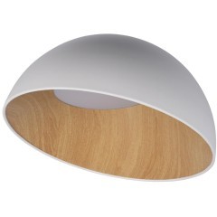 10197/500 White Потолочный светильник LOFT IT Egg