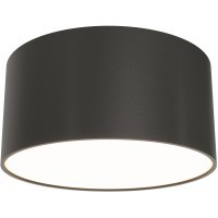 Потолочный светильник Technical C032CL-12W3K-RD-B