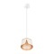 Подвесной светильник Arte Lamp AMAKS A8028SP-1WH