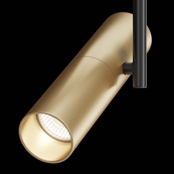 Однофазный двужильный трековый светильник Maytoni Unity TR005-1-GU10-BG Elti под сменную лампу GU10 Однофазный двужильный трековый светильник Maytoni Unity TR005-1-GU10-BG Elti под сменную лампу GU10