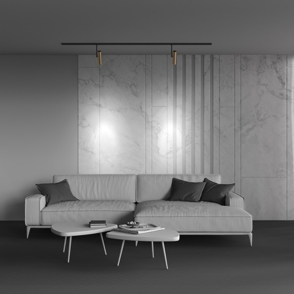 Однофазный двужильный трековый светильник Maytoni Unity TR005-1-GU10-BG Elti под сменную лампу GU10 Однофазный двужильный трековый светильник Maytoni Unity TR005-1-GU10-BG Elti под сменную лампу GU10