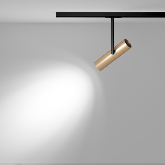 Однофазный двужильный трековый светильник Maytoni Unity TR005-1-GU10-BG Elti под сменную лампу GU10 Однофазный двужильный трековый светильник Maytoni Unity TR005-1-GU10-BG Elti под сменную лампу GU10