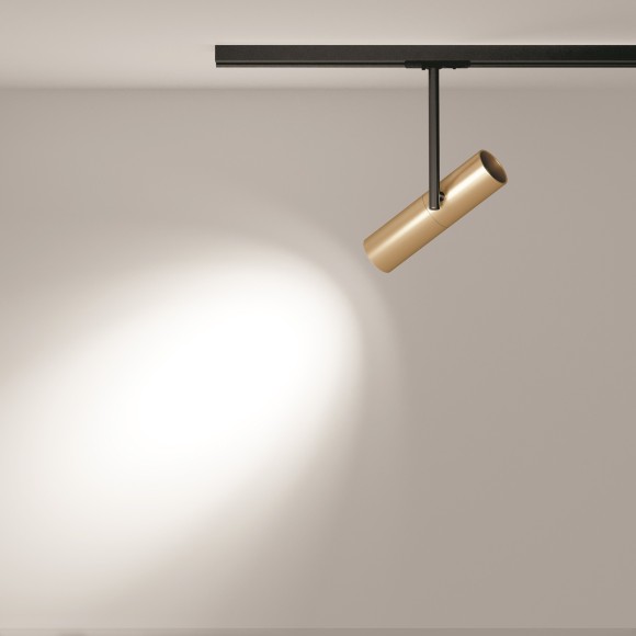 Однофазный двужильный трековый светильник Maytoni Unity TR005-1-GU10-BG Elti под сменную лампу GU10 Однофазный двужильный трековый светильник Maytoni Unity TR005-1-GU10-BG Elti под сменную лампу GU10