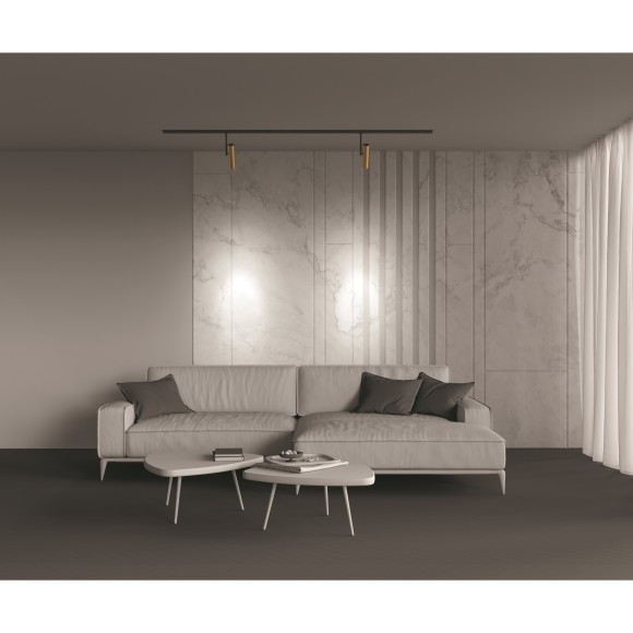 Однофазный двужильный трековый светильник Maytoni Unity TR005-1-GU10-BG Elti под сменную лампу GU10 Однофазный двужильный трековый светильник Maytoni Unity TR005-1-GU10-BG Elti под сменную лампу GU10