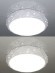 Потолочный светильник LED LED LAMPS 81205