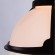 Уличный подвесной светильник Arte Lamp A1495SO-1BK MONACO IP44 под лампу 1xE27 75W