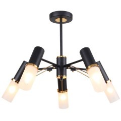 Потолочная люстра Viator 2558-5P