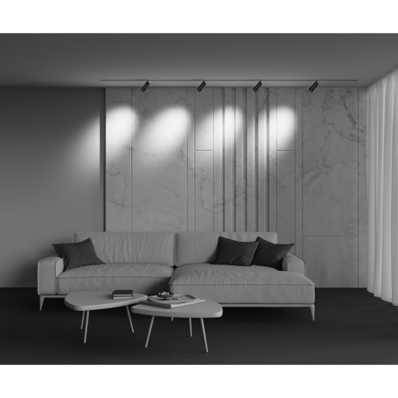 Трековый светильник Technical TR212-4-12WTW-Z-DSZ-B