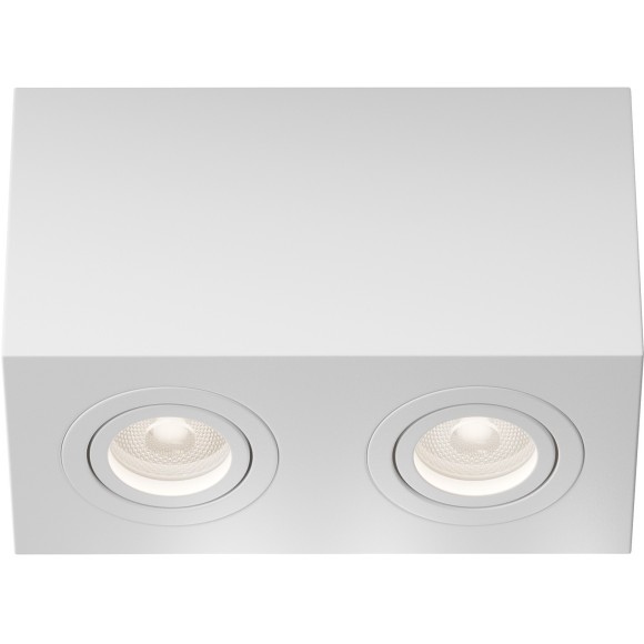 Потолочный светильник Technical C017CL-02W