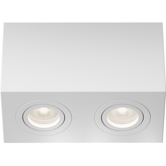 Потолочный светильник Technical C017CL-02W