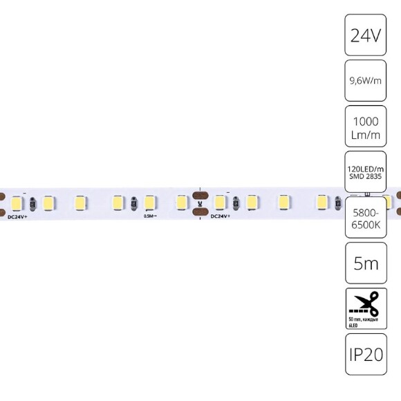 A2412008-03-6K Светодиодная лента 24В 9,6Вт/м 1000Лм/м 6000К CRI 90+ 8мм SMD2835 120шт/м 5м IP20
