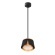 Подвесной светильник Arte Lamp AMAKS A8028SP-1BK