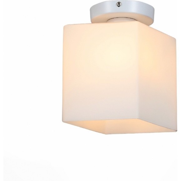 Настенно-потолочный светильник ST Luce SL548.501.01 Aspetto под лампу 1xE27 60W