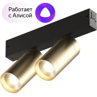 DK8012-BG Трековый магнитный светодиодный SMART (TUYA, Алиса, Wi-Fi, пам. настроек) светильник Denkirs SMART 220V CRI90+ 3000-6000К 1560Лм 24° 18Вт