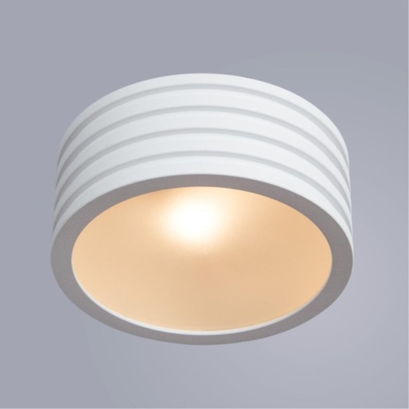 Потолочный светильник влагозащищенный Cervantes 1349/03 PL-1