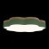 10225/36 Green Потолочный светильник LOFT IT Axel