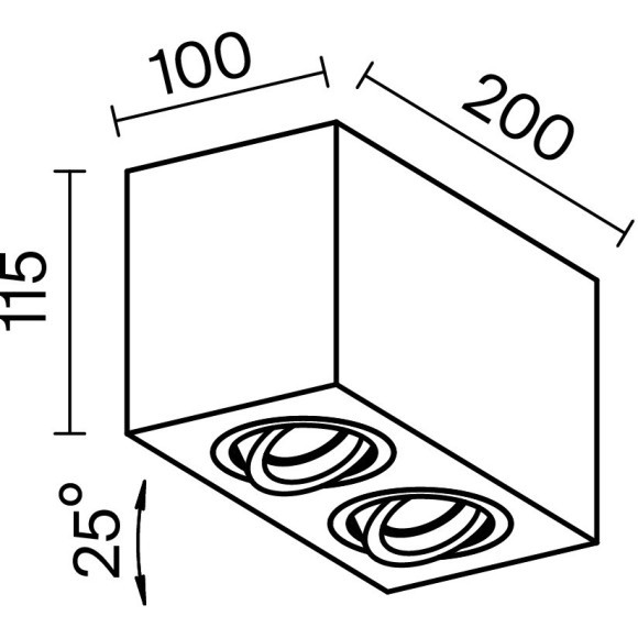 Потолочный светильник Technical C017CL-02B