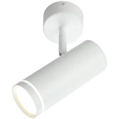 Светильник настенно-потолочный OML-102219-12