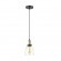 Подвесной светильник с 1 плафоном Lumion 3683/1 KIT под лампу 1xE27 60W