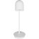 10144 White Настольная лампа LOFT IT Tango