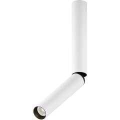 Потолочный светильник Technical C142CL-6W3K-W