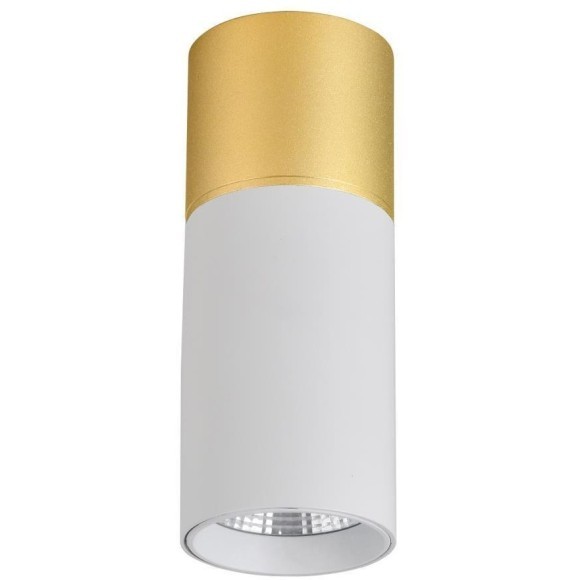 Точечный светильник Deepak 3073-1C