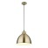 Подвесной светильник с 1 плафоном Arte Lamp A2055SP-1AB BRACCIO под лампу 1xE27 60W