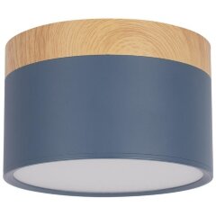 10162 Blue Накладной светильник LOFT IT Grape