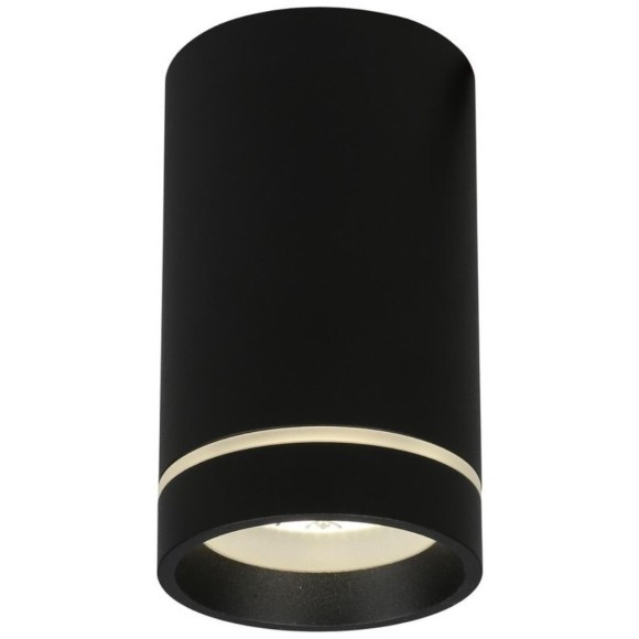 Потолочный спот APL.0054.19.10