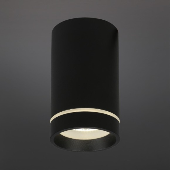 Потолочный спот APL.0054.19.10