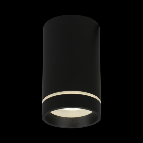 Потолочный спот APL.0054.19.10