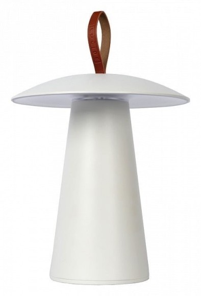 Декоративная настольная лампа Lucide 27500/02/31 IP54 светодиодная LED 2W