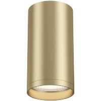 Потолочный светильник Technical C052CL-01MG