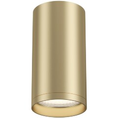 Потолочный светильник Technical C052CL-01MG