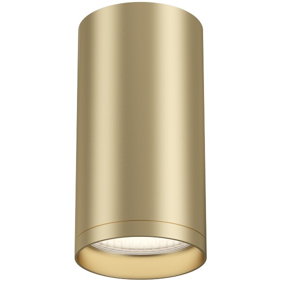 Потолочный светильник Technical C052CL-01MG