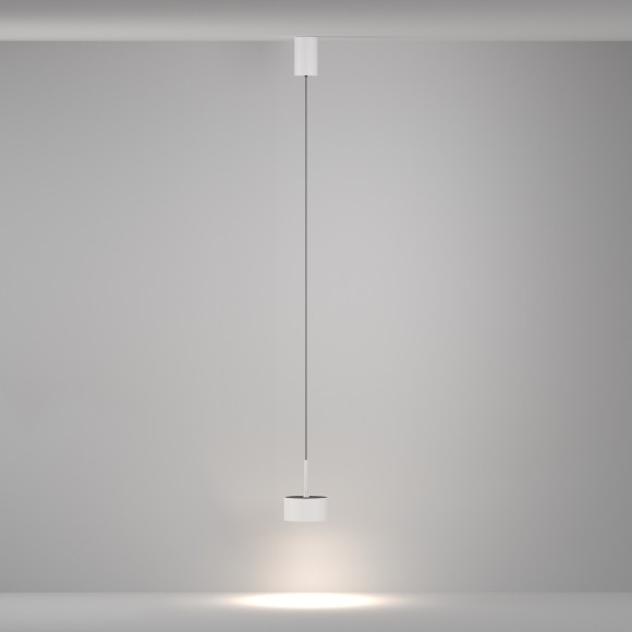 Подвесной светильник Technical P102PL-12W4K-W