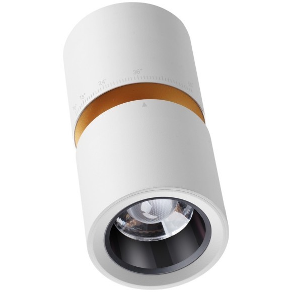 Светильник накладной светодиодный LED 10W/3W 3000K 1090Лм Novotech ARISTO 359337