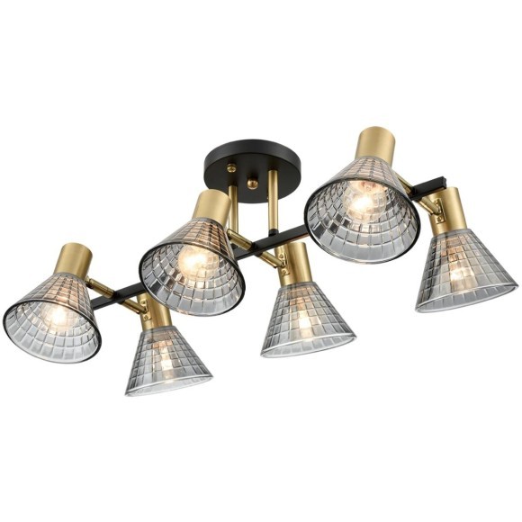 Люстра потолочная Е14 Lumion ANRIYA 8044/6C