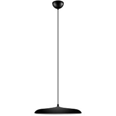 10119 Black Подвесной светильник LOFT IT Plato 10119 Black Подвесной светильник LOFT IT Plato