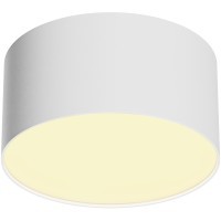 Потолочный светильник Technical C032CL-12W2.7K-RD-W