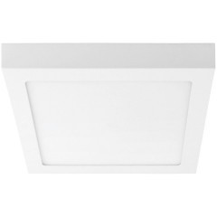 Настенно-потолочный светильник Lightstar 324124 Zocco IP40 светодиодный LED 120W