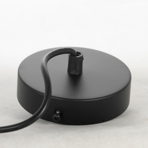 Подвесной светильник с 1 плафоном Lussole LSP-8569 Gilpin IP21 под лампу 1xE27 40W