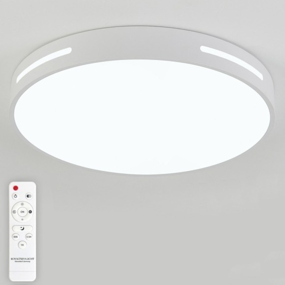 Потолочный светильник Modern LED LAMPS 81334