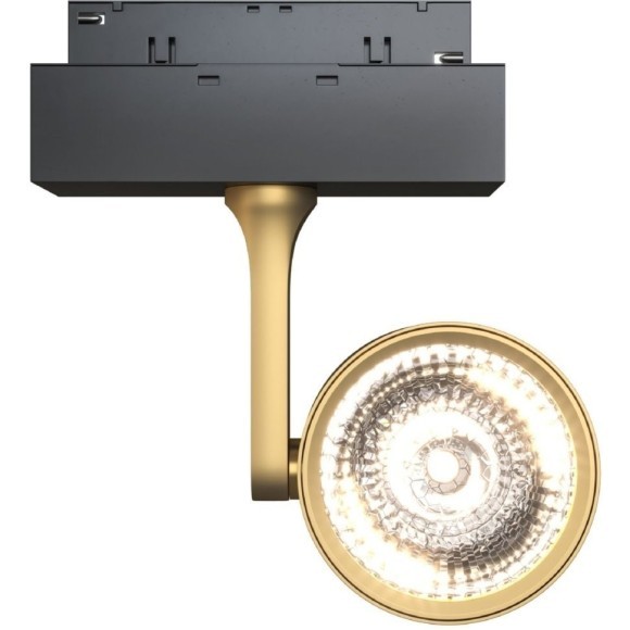 Светодиодный трековый светильник Maytoni Technical Track lamps TR024-2-10MG3K