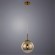 Подвесной светильник Arte Lamp A7961SP-1GO JUPITER gold под лампу 1xE27 60W