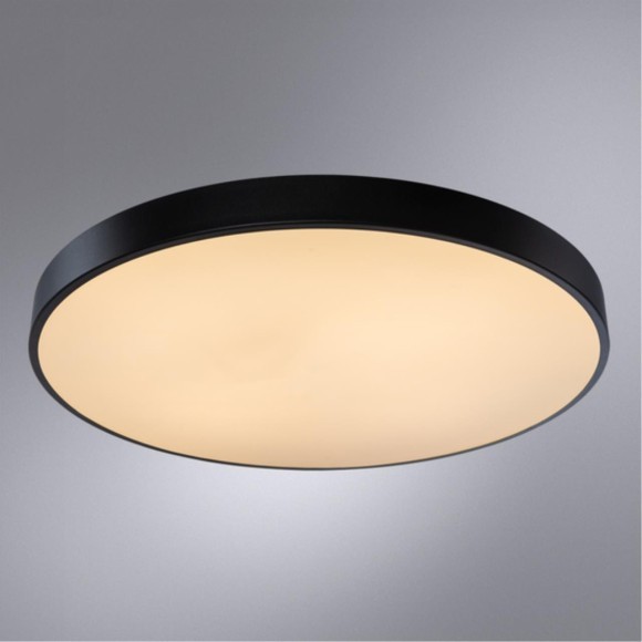Настенно-потолочный светильник Arte Lamp A2673PL-1BK ARENA светодиодный LED 80W