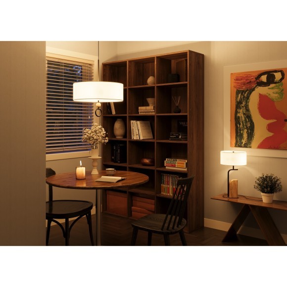 Подвесной светильник Maytoni MOD437PL-05B